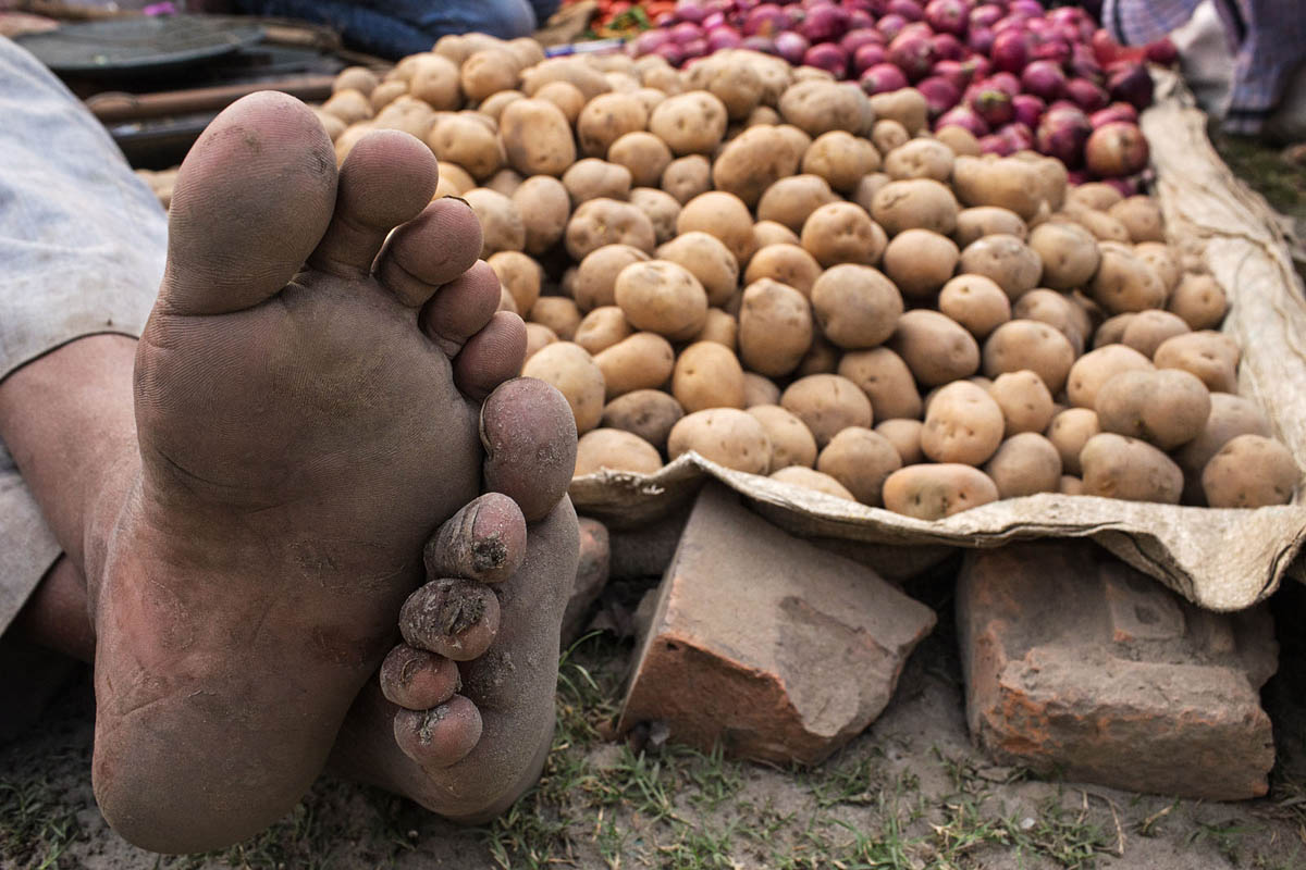 A vegetable seller at Sonepur Mela, India
