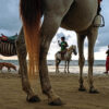 myanmar_burma_chaung_thar_beach_horses_people_street_photography_travel