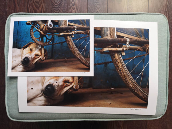 maciej_dakowicz_print_art_sale_a3_bicycle_dog_varanasi_india_photo_01