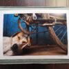 maciej_dakowicz_print_art_sale_a3_bicycle_dog_varanasi_india_photo_02
